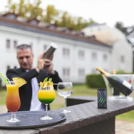 Mercure Thermalia 4* Vichy