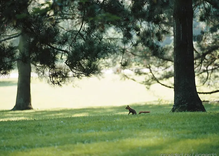 Mercure Отель Виши